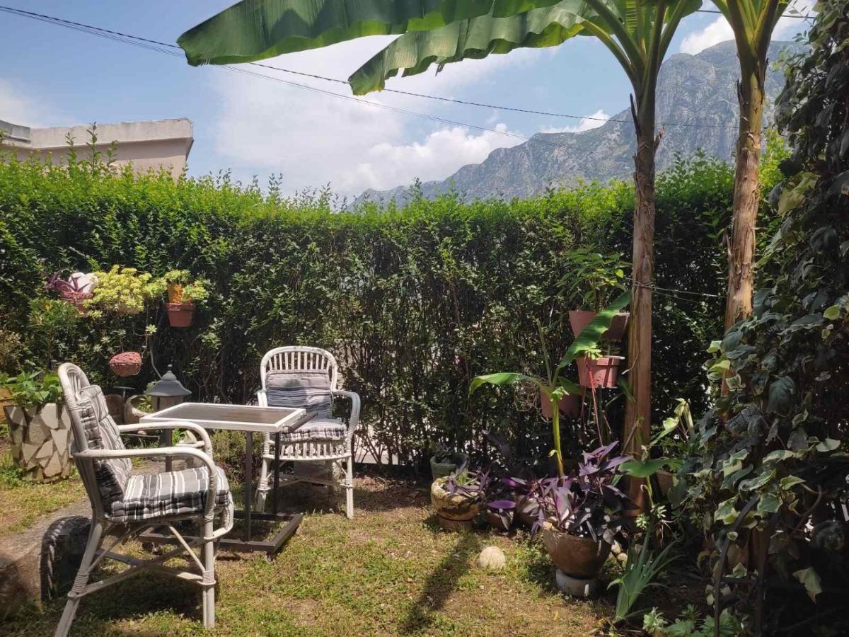 Apartman Art Kotor Buitenkant foto